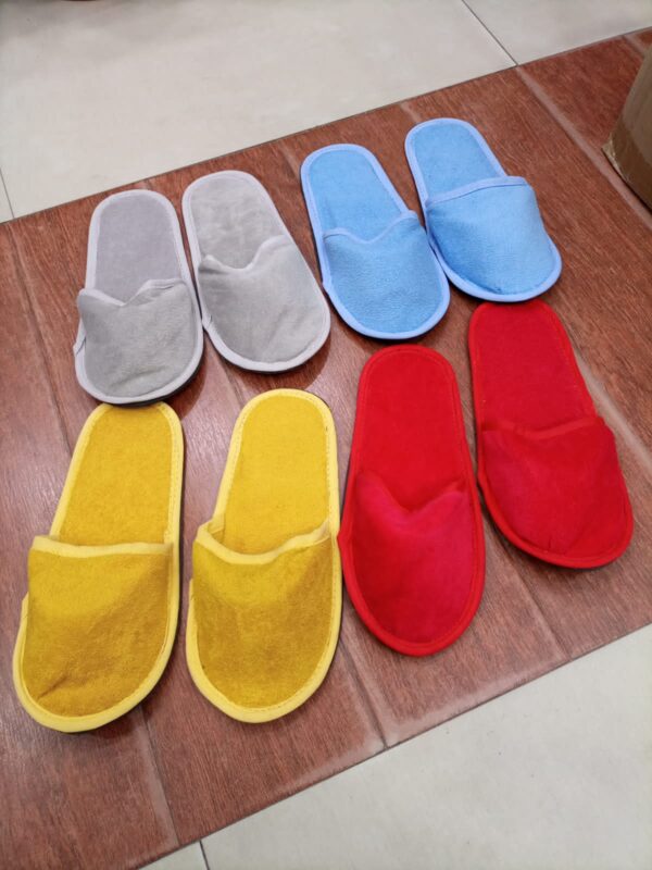 Winter Carpet Slipper Free Size ( random color )